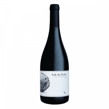 VINHO GUASPARI VALE DA PEDRA – SYRAH 2021